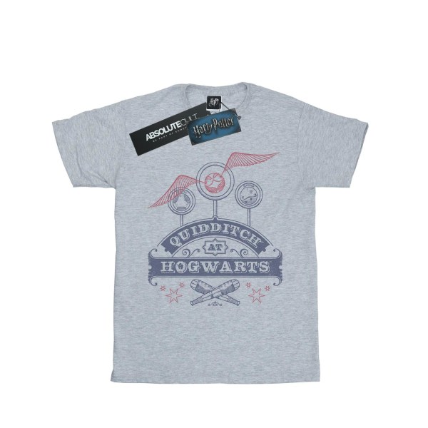 Harry Potter Quidditch på Hogwarts T-shirt XL Sports Grey Sports Grey XL