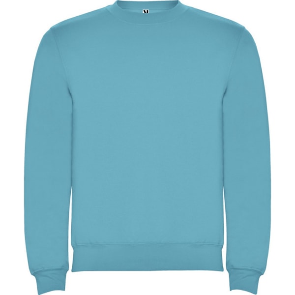 Roly Unisex Vuxen Clasica Crew Neck Sweatshirt XL Turkos Turquoise XL