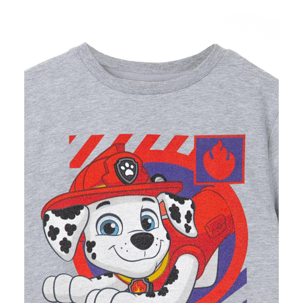 Paw Patrol Boys Marshall T-Shirt 3-4 år Gråmelerad Grey Marl 3-4 Years