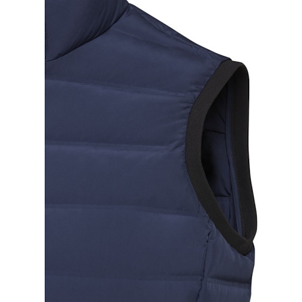 Elevate Damkläder för Kvinnor/Damer Caltha Isolerad Body Warmer XS Marinblå Navy XS