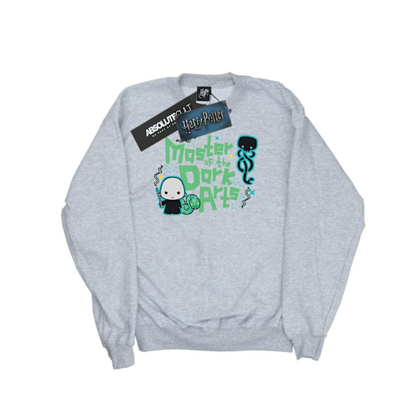 Harry Potter Boys Voldemort Dark Arts Junior Sweatshirt 7-8 år Sports Grey 7-8 Years