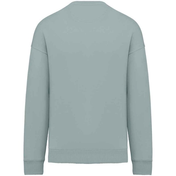 Native Spirit Dam/Dam Oversized Sweatshirt S Jade Grön Jade Green S