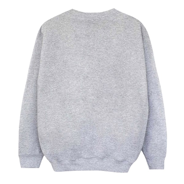 Disney Boys Tinkerbell Jul Fe Sweatshirt 7-8 År Spo Sports Grey 7-8 Years