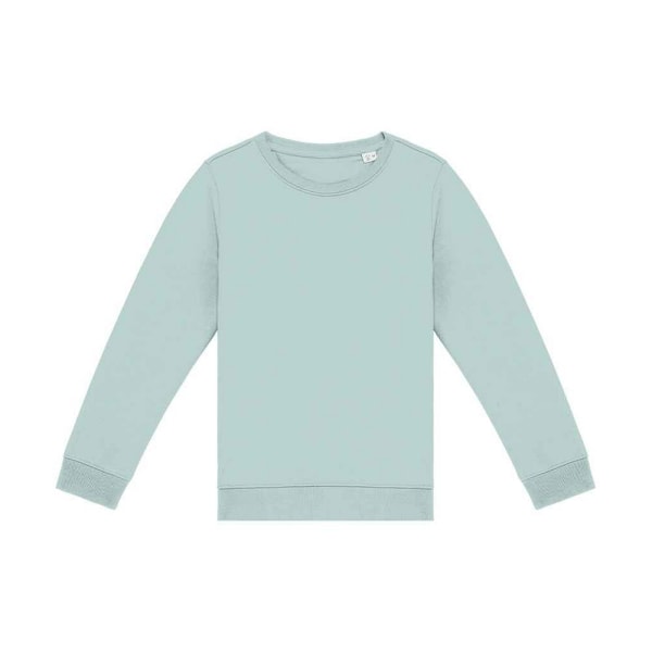 Native Spirit Barn/Barn Sweatshirt 4-6 år Jade Green Jade Green 4-6 Years