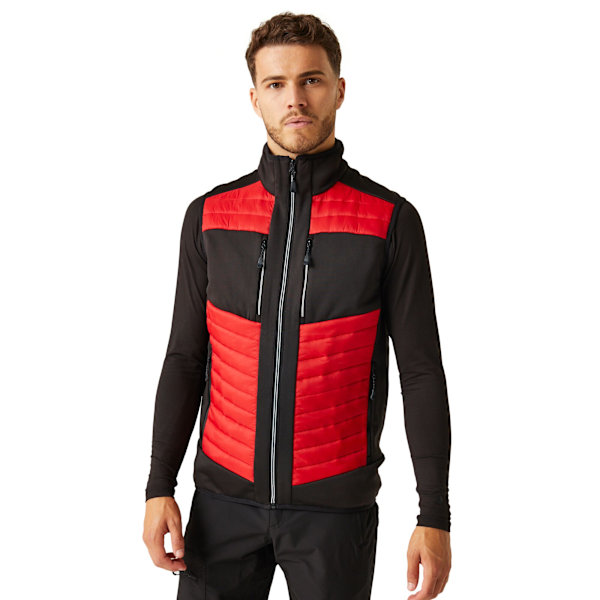 Regatta Professional Unisex Vuxen Termisk Hybrid Kroppsvärmare M Classic Red/Black M