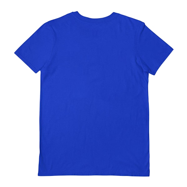 Sanrio Unisex Vuxen 4 Vänner Pompompurin T-shirt XL Blå Blue XL