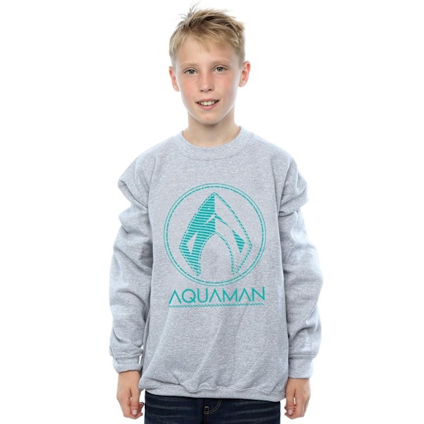 DC Comics Boys Aquaman Aqua Logo Sweatshirt 5-6 år Sports Grå Sports Grey 5-6 Years