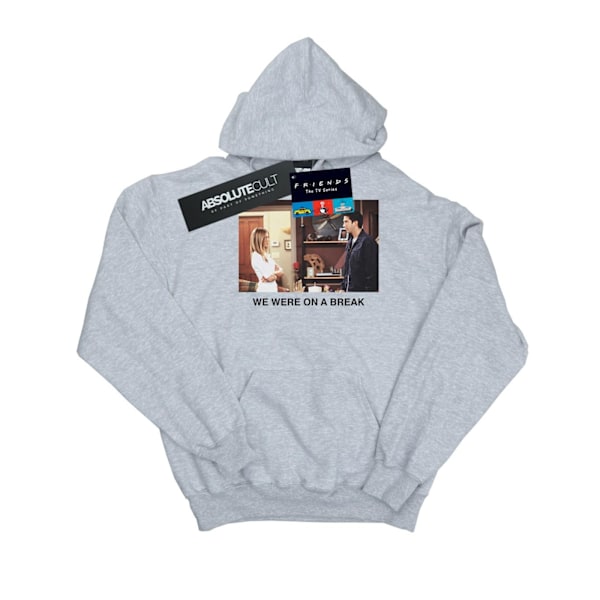 Friends Dam/Damer Vi Var På En Paus Foto Hoodie S Sport Sports Grey S