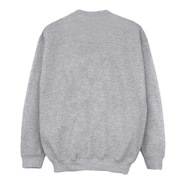 Disney Girls Toy Story Woody Cowboy Crunchies Sweatshirt 3-4 år Sports Grey 3-4 Years