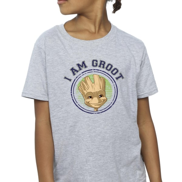 Guardians Of The Galaxy Girls Groot Varsity Bomull T-shirt 12-1 Sports Grey 12-13 Years