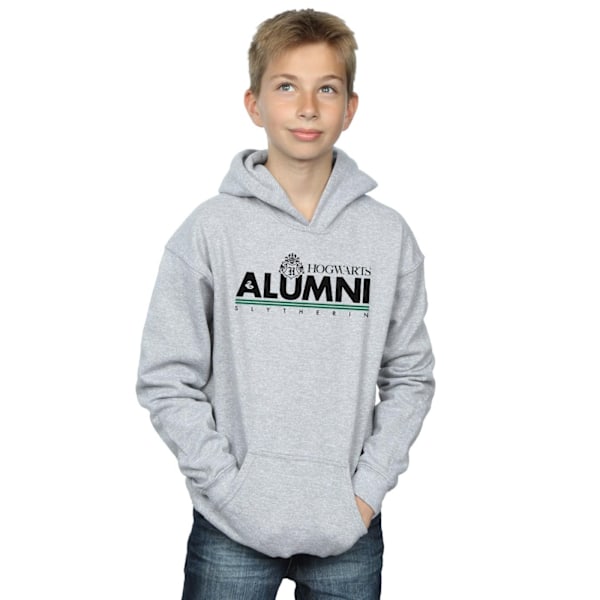 Harry Potter Boys Hogwarts Alumni Slytherin Hoodie 7-8 år Sp Sports Grey 7-8 Years