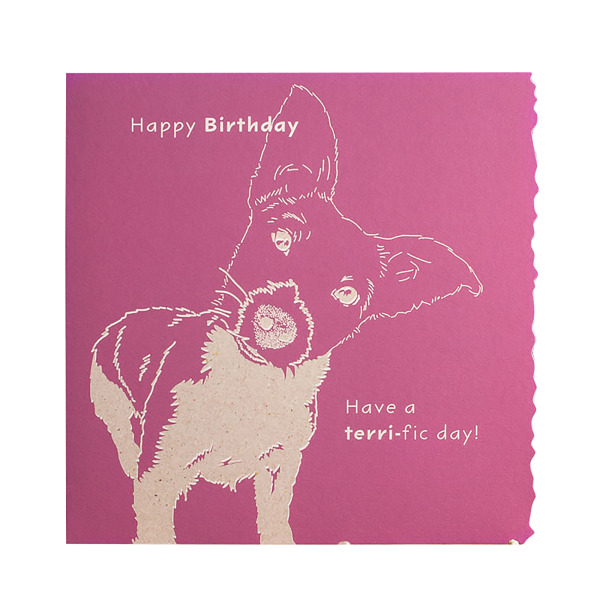 Deckled Edge Color Block Animal Greetings Card One Size Happy Happy Birthday Have A Terri-fic Day One Size