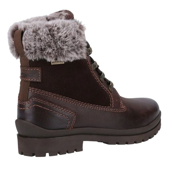 Cotswold Evenlode Ankelboots för Kvinnor/Dam 8 UK Brun Brown 8 UK