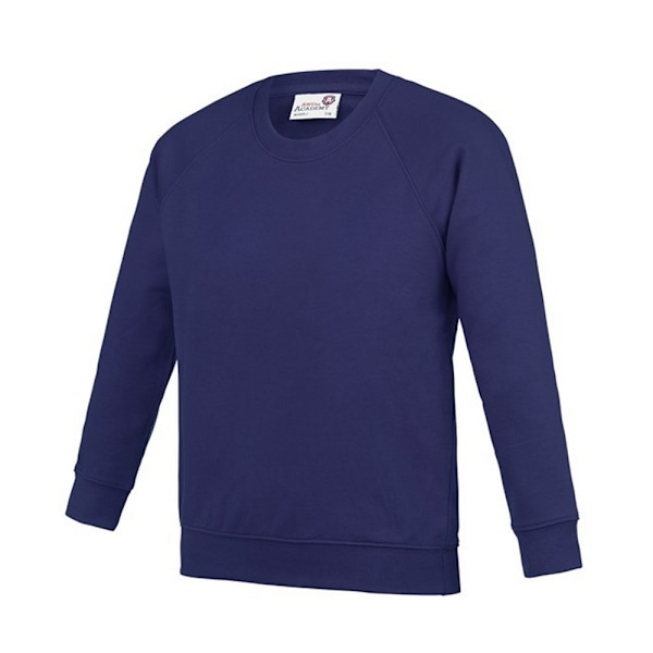 Awdis Barn/Barn Akademi Raglan Sweatshirt XXL Lila Purple XXL