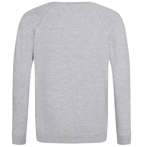 Awdis Barn/Barn Akademi Raglan Sweatshirt 13 År Grå Grey 13 Years