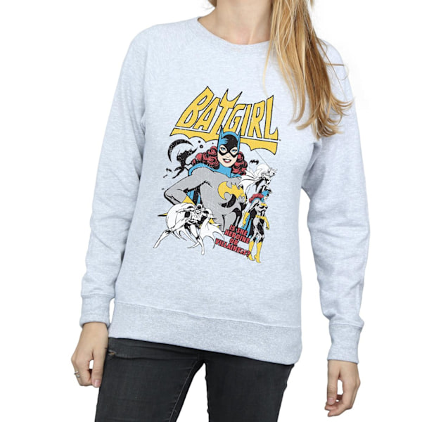 DC Comics Dam/Kvinnor Hjälte Eller Skurk Batgirl Heather S Heather Grey S