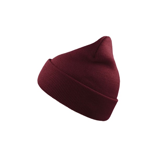 Atlantis Wind Dubbelskiktsmössa Med Uppvikning One Size Burgundy Burgundy One Size