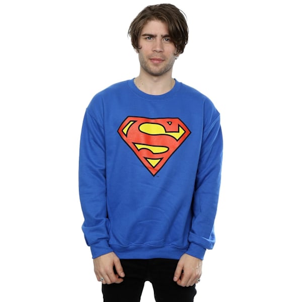 DC Comics Herr Superman Logo Sweatshirt L Royal Blue Royal Blue L