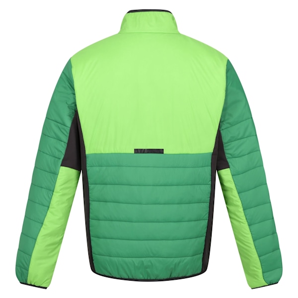 Regatta Herr Halton VII Kontrastpanel Baffled Vadderad Jacka S Field Green/Jasmine Green S