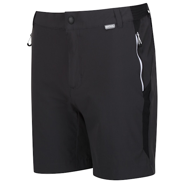 Regatta Herr Mountain II Shorts 42R Askgrå/Svart Ash/Black 42R