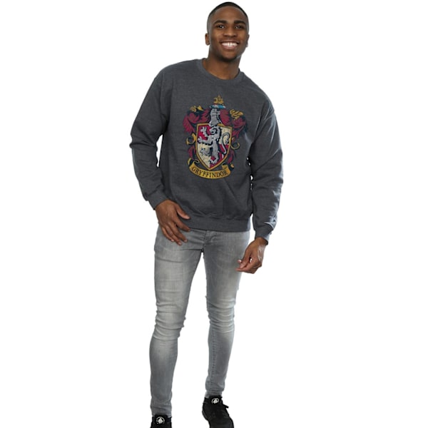 Harry Potter Gryffindor Sweatshirt för män, L, mörkgrå Dark Heather L