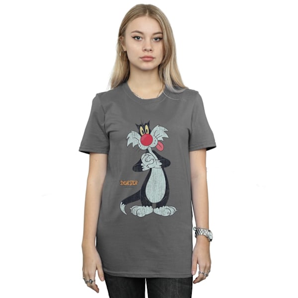 Looney Tunes Dam/Damer Sylvester Distressed Bomull Boyfriend Charcoal M