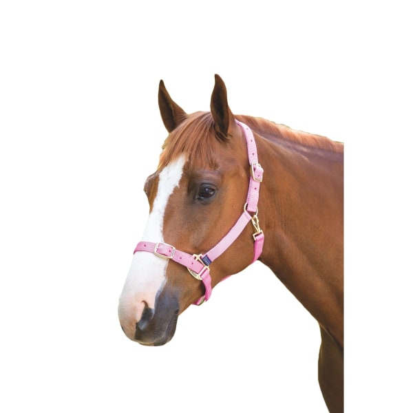 Shires Justerbar Horse Headcollar X Full Pink Pink X Full