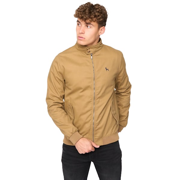 Bewley & Ritch Herr Tavistock Harrington Jacka M Tan Tan M