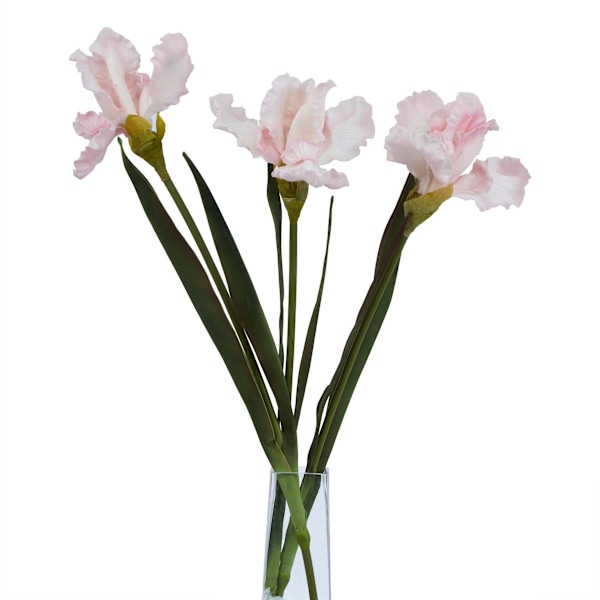Hill Interiors The Natural Garden Collection Fringed Iris Konstgjord Pale Pink One Size