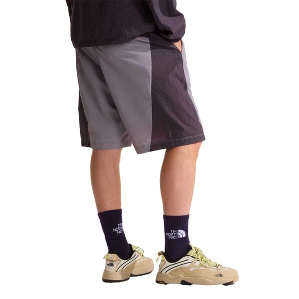 The North Face Herr Nse Shorts S Transparent Grå Transparent Grey S
