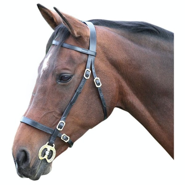 Blenheim Läder Plain Häst Inhand Bridle Full Black Black Full