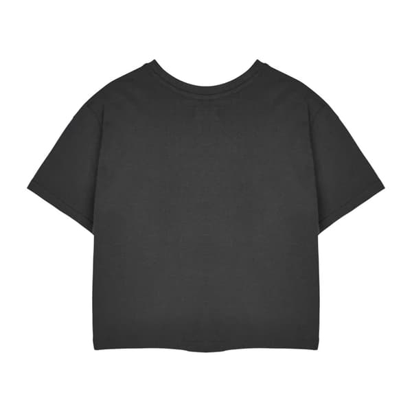 Monster High Dam/Dam Alumni Kortärmad Croppad T-shirt M Grey M