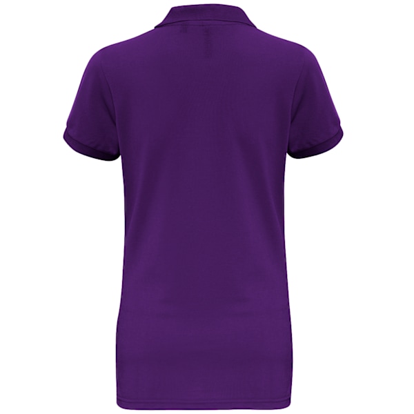 Asquith & Fox Dam/Dam Short Sleeve Performance Blend Polo Purple XL