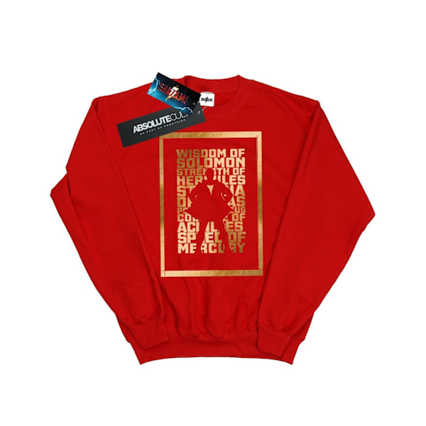 DC Comics Herr Shazam Guld Text Sweatshirt 4XL Röd Red 4XL