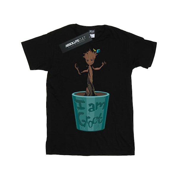 Marvel Herrar Guardians Of The Galaxy Baby Groot Blomkruka T-shirt Black M