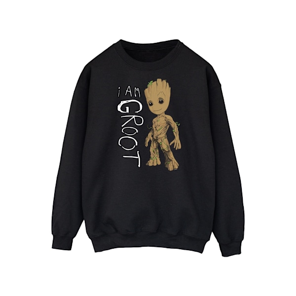 Marvel Herr Guardians Of The Galaxy I Am Groot Scribbles Sweatshirt Black 4XL