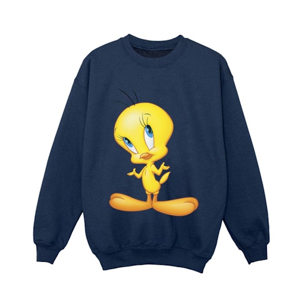 Looney Tunes Pojkar Tweety Stående Sweatshirt 3-4 År Marinblå Navy Blue 3-4 Years