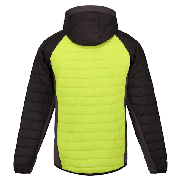 Regatta Trutton huvtröja med mjukt skal för män S Bright Kiwi/Bla Bright Kiwi/Black S