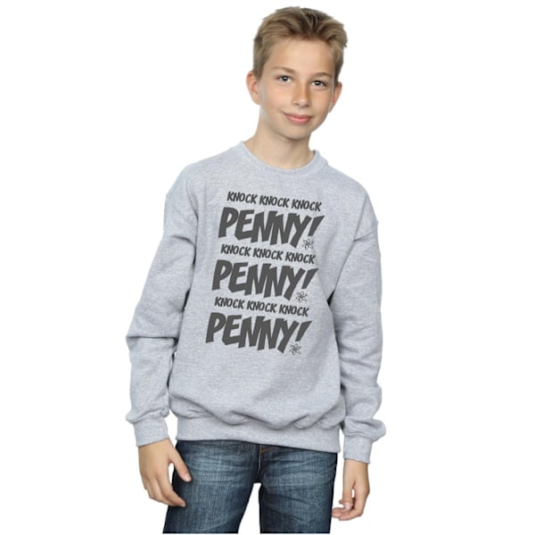 The Big Bang Theory Boys Sheldon Knock Knock Penny Sweatshirt 1 Sports Grey 12-13 Years