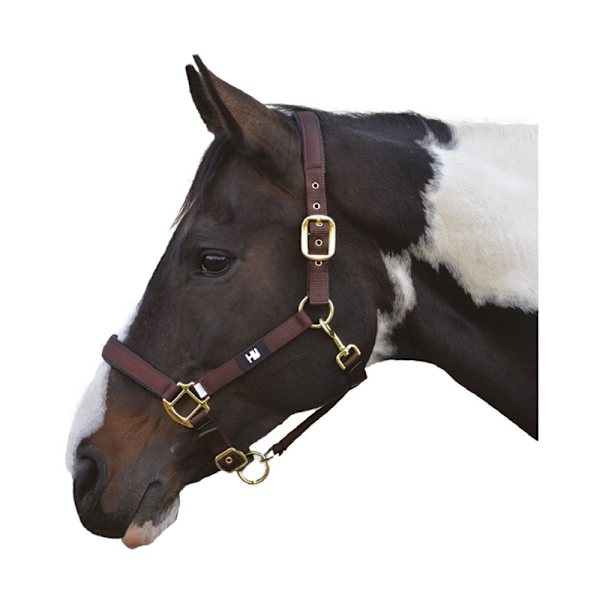 Hy Grand Prix Hästgrimma Cob Chokladbrun Chocolate Brown Cob