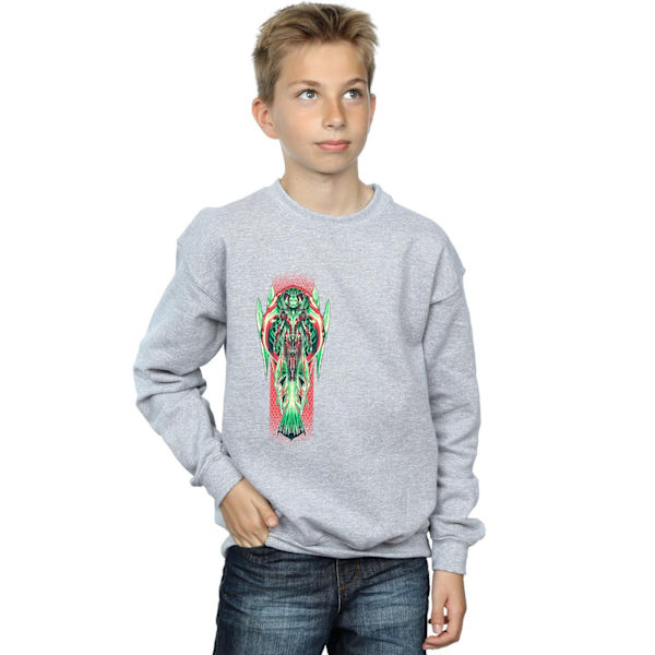 DC Comics Boys Aquaman Queen Atlanna Sweatshirt 12-13 år Spo Sports Grey 12-13 Years