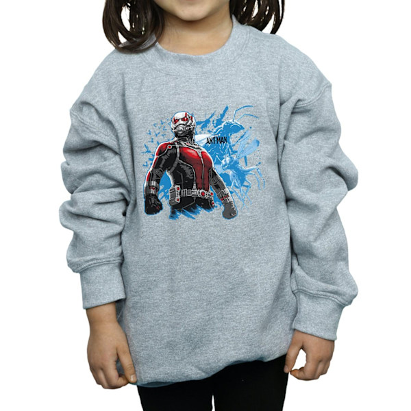 Marvel Girls Ant-Man Stående Sweatshirt 5-6 År Sports Grey Sports Grey 5-6 Years