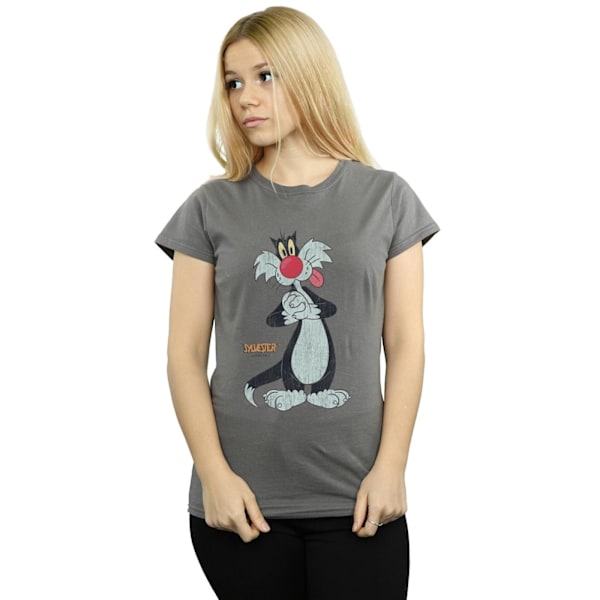 Looney Tunes Dam/Damer Sylvester Distressed Bomull T-shirt Charcoal L