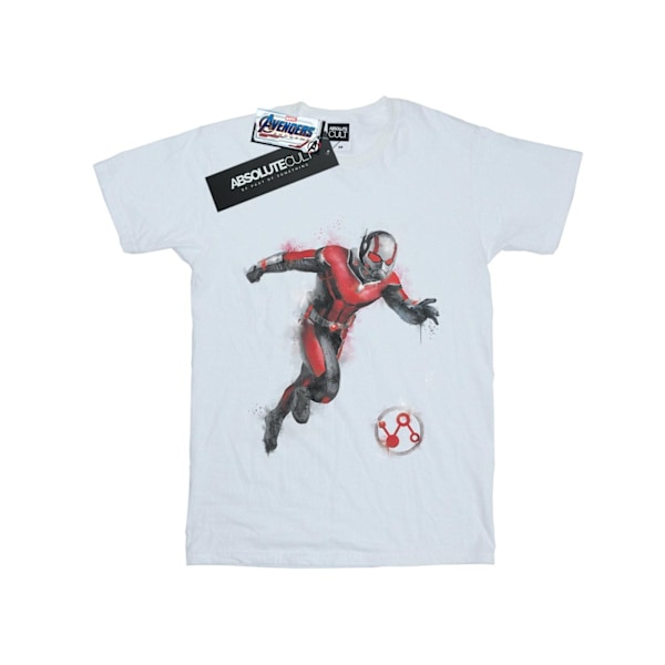 Marvel Mens Avengers Endgame Painted Ant-Man T-Shirt 4XL Vit White 4XL
