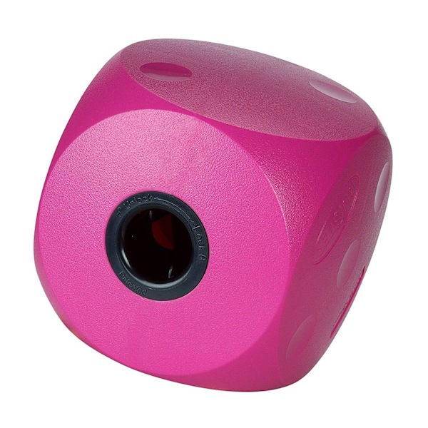 Buster Food Cube Large Cherry Cherry Large