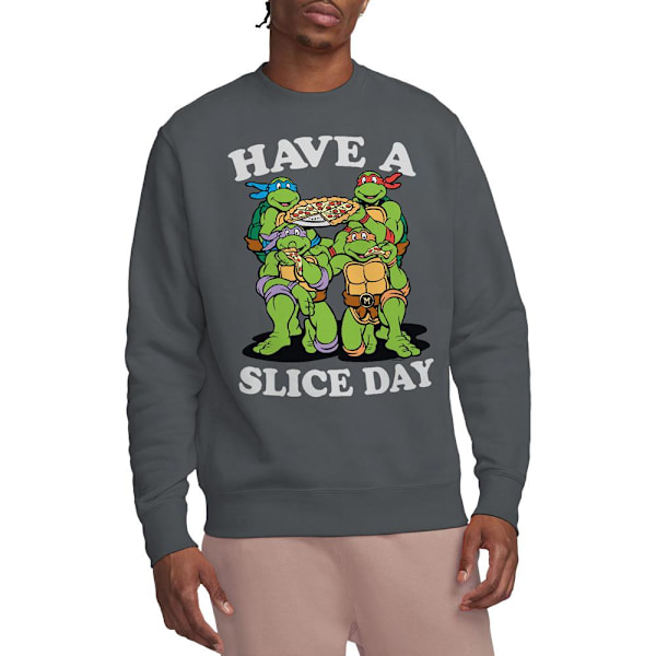 Teenage Mutant Ninja Turtles Unisex Vuxen Have A Slice Day Tröja Charcoal L