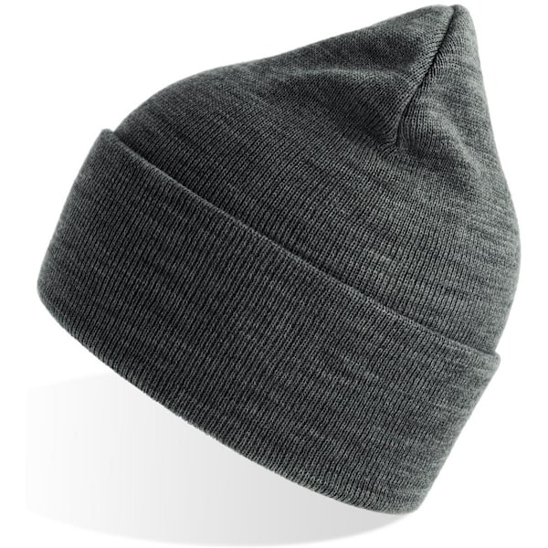 Atlantis Unisex Vuxen Ren Beanie i 100 % Återvunnet Material En Storlek Mörkgrå Dark Grey Melange One Size