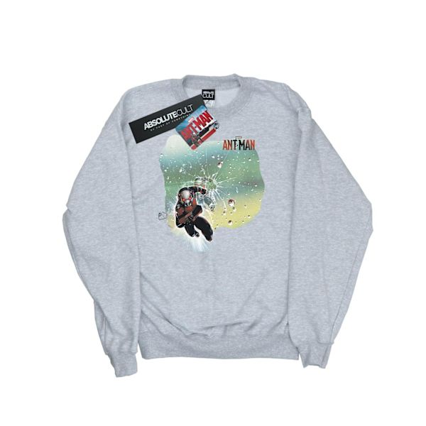 Marvel Dam/Kvinnor Ant-Man Shatter Sweatshirt M Heather Grey Heather Grey M
