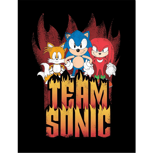 Sonic The Hedgehog Team Sonic Inramad Poster 40cm x 30cm Multico Multicoloured 40cm x 30cm