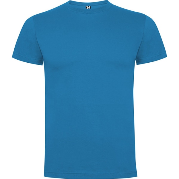 Roly Barn/Barn Dogo T-shirt 3-4 År Ocean Blue Ocean Blue 3-4 Years